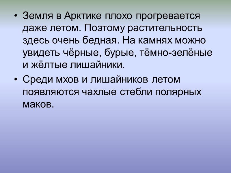 Земля в Арктике плохо прогревается даже летом. Поэтому растительность здесь очень бедная. На камнях